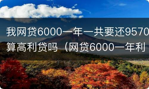 我网贷6000一年一共要还9570算高利贷吗（网贷6000一年利息1200合法吗）