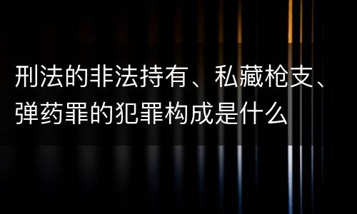 刑法的非法持有、私藏枪支、弹药罪的犯罪构成是什么