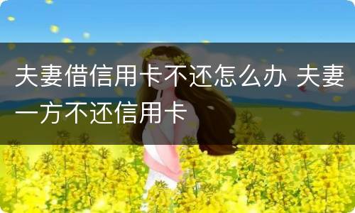 夫妻借信用卡不还怎么办 夫妻一方不还信用卡