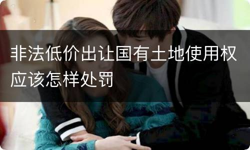 非法低价出让国有土地使用权应该怎样处罚