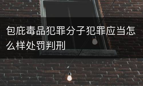 包庇毒品犯罪分子犯罪应当怎么样处罚判刑
