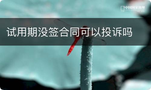 试用期没签合同可以投诉吗