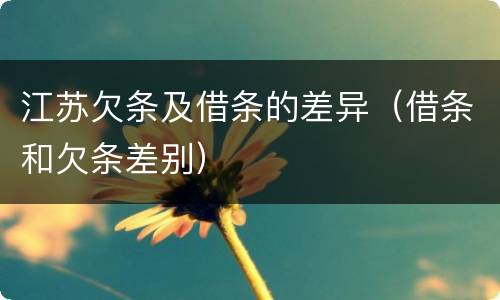 江苏欠条及借条的差异（借条和欠条差别）