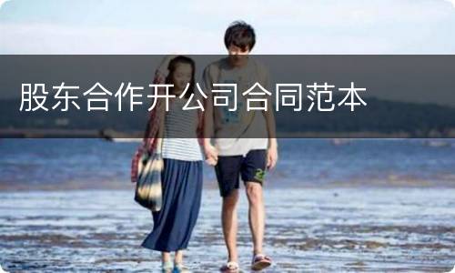 股东合作开公司合同范本