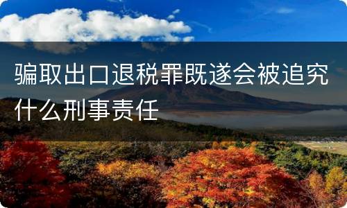 骗取出口退税罪既遂会被追究什么刑事责任