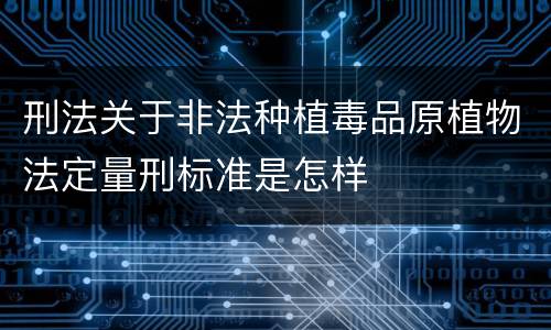 刑法关于非法种植毒品原植物法定量刑标准是怎样