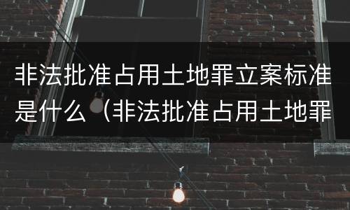 非法批准占用土地罪立案标准是什么（非法批准占用土地罪立案标准是什么样的）