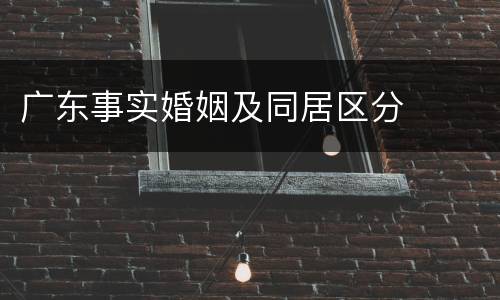 广东事实婚姻及同居区分