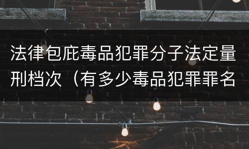 法律包庇毒品犯罪分子法定量刑档次（有多少毒品犯罪罪名）