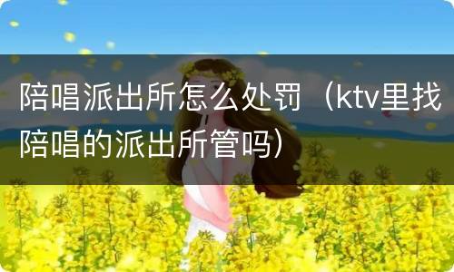 陪唱派出所怎么处罚（ktv里找陪唱的派出所管吗）