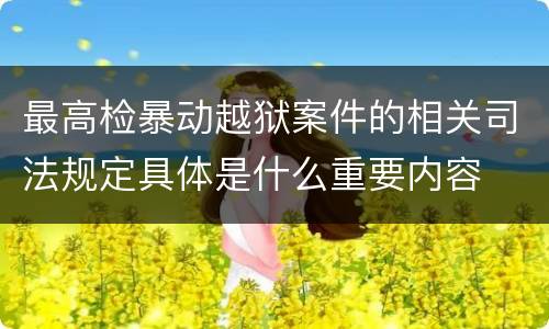 最高检暴动越狱案件的相关司法规定具体是什么重要内容