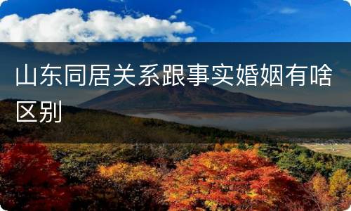 山东同居关系跟事实婚姻有啥区别