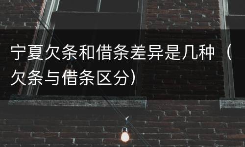 宁夏欠条和借条差异是几种（欠条与借条区分）