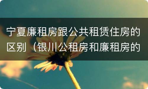 宁夏廉租房跟公共租赁住房的区别（银川公租房和廉租房的区别）