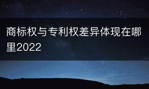 商标权与专利权差异体现在哪里2022