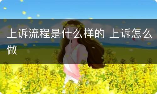 上诉流程是什么样的 上诉怎么做