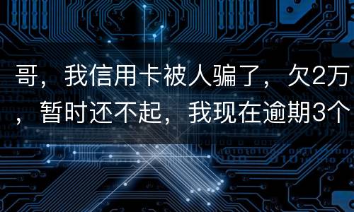 哥，我信用卡被人骗了，欠2万，暂时还不起，我现在逾期3个月了？我会不会坐牢。