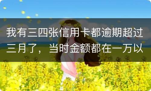 我有三四张信用卡都逾期超过三月了，当时金额都在一万以内，会有什么后果呢