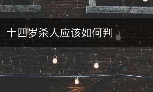 十四岁杀人应该如何判