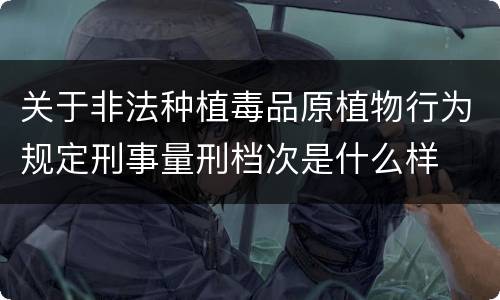 关于非法种植毒品原植物行为规定刑事量刑档次是什么样