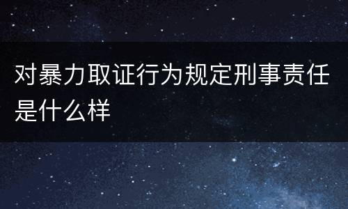 对暴力取证行为规定刑事责任是什么样