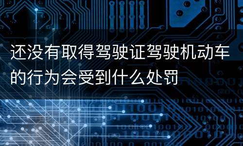 还没有取得驾驶证驾驶机动车的行为会受到什么处罚