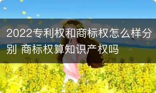 2022专利权和商标权怎么样分别 商标权算知识产权吗