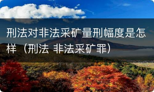 刑法对非法采矿量刑幅度是怎样（刑法 非法采矿罪）