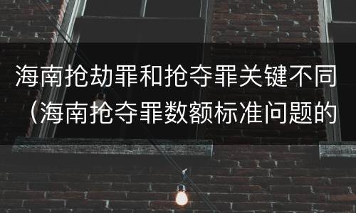 海南抢劫罪和抢夺罪关键不同（海南抢夺罪数额标准问题的规定）