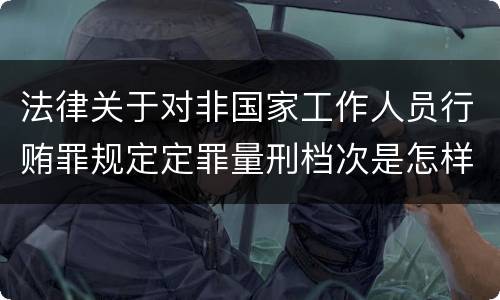 法律关于对非国家工作人员行贿罪规定定罪量刑档次是怎样