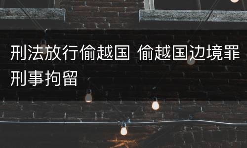 刑法放行偷越国 偷越国边境罪刑事拘留