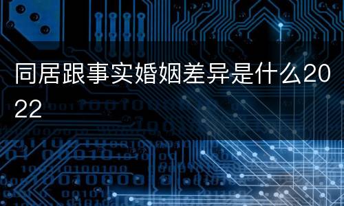 同居跟事实婚姻差异是什么2022