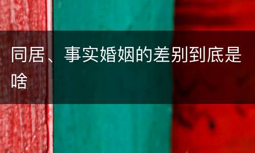 同居、事实婚姻的差别到底是啥