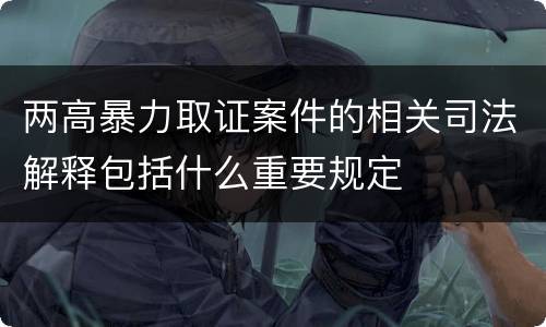 两高暴力取证案件的相关司法解释包括什么重要规定