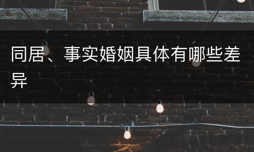 同居、事实婚姻具体有哪些差异