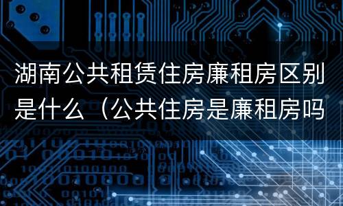 湖南公共租赁住房廉租房区别是什么（公共住房是廉租房吗）