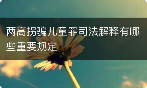 两高拐骗儿童罪司法解释有哪些重要规定