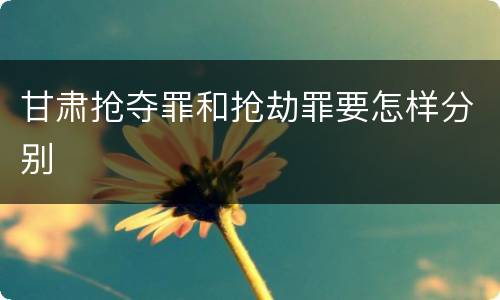 甘肃抢夺罪和抢劫罪要怎样分别