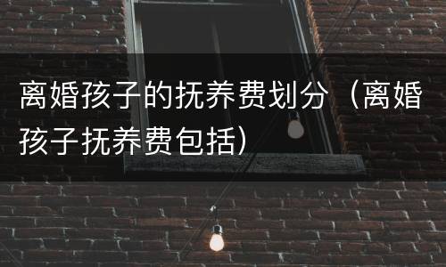 离婚孩子的抚养费划分（离婚孩子抚养费包括）