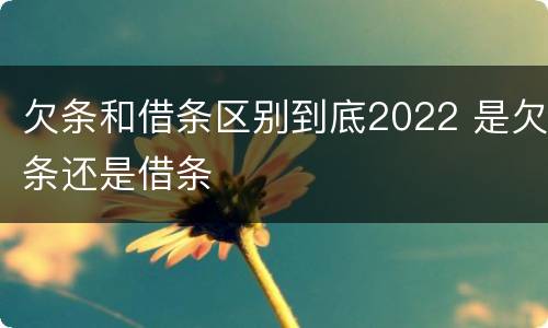 欠条和借条区别到底2022 是欠条还是借条
