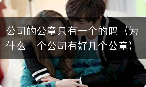 公司的公章只有一个的吗（为什么一个公司有好几个公章）