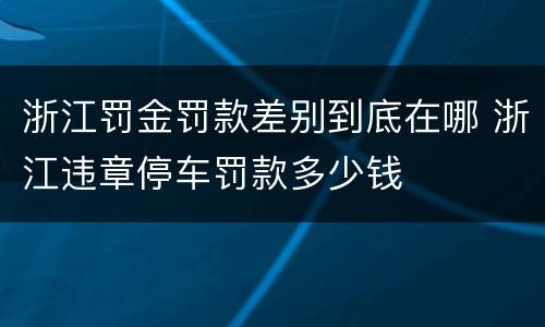 浙江罚金罚款差别到底在哪 浙江违章停车罚款多少钱