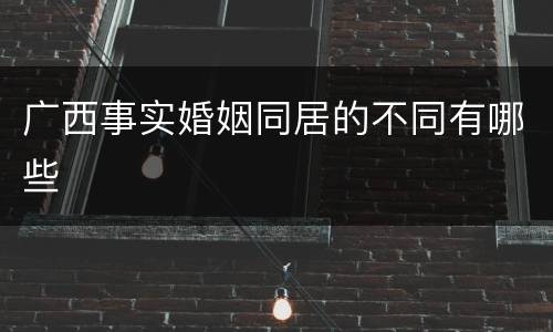 广西事实婚姻同居的不同有哪些