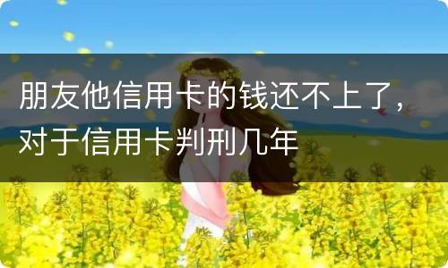 朋友他信用卡的钱还不上了，对于信用卡判刑几年