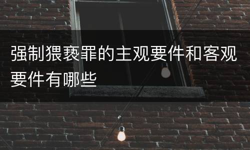 强制猥亵罪的主观要件和客观要件有哪些