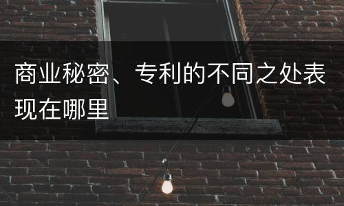 商业秘密、专利的不同之处表现在哪里