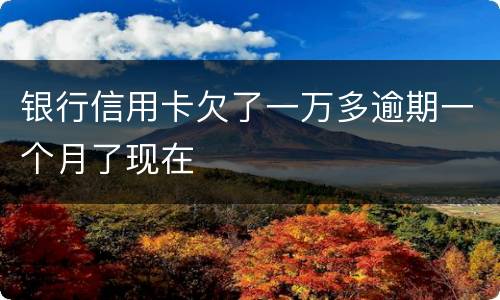 银行信用卡欠了一万多逾期一个月了现在