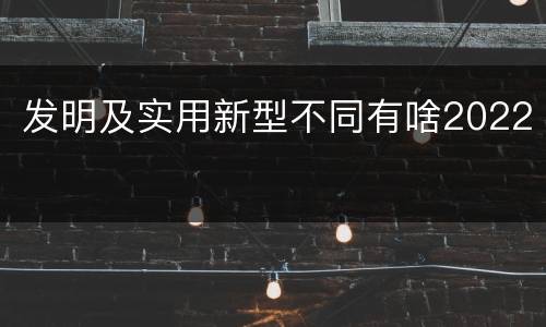 发明及实用新型不同有啥2022