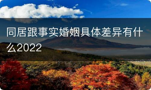 同居跟事实婚姻具体差异有什么2022