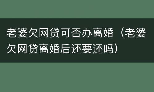 老婆欠网贷可否办离婚（老婆欠网贷离婚后还要还吗）